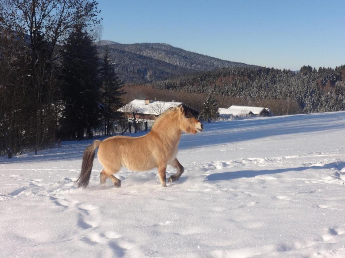 Urlaub Auf Dem Haberlhof Villa Lohberg Buitenkant foto