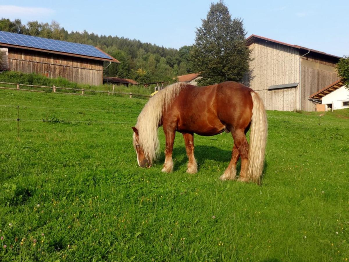 Urlaub Auf Dem Haberlhof Villa Lohberg Buitenkant foto