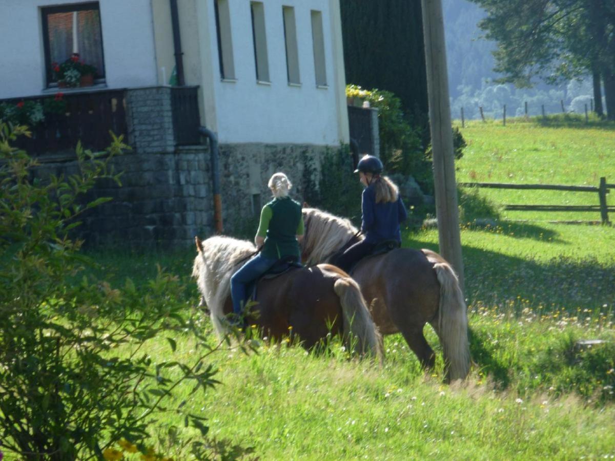 Urlaub Auf Dem Haberlhof Villa Lohberg Buitenkant foto
