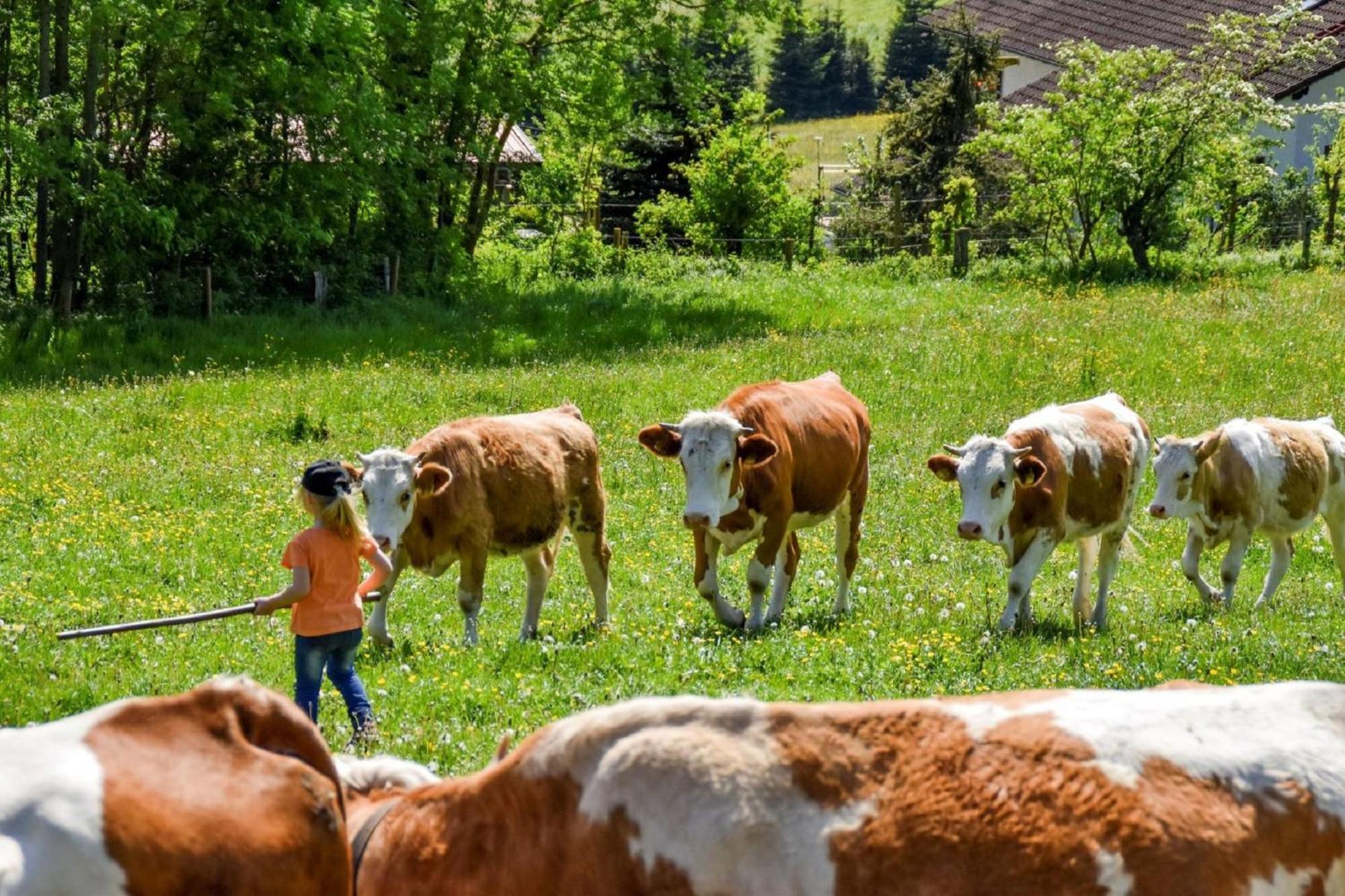 Urlaub Auf Dem Haberlhof Villa Lohberg Buitenkant foto