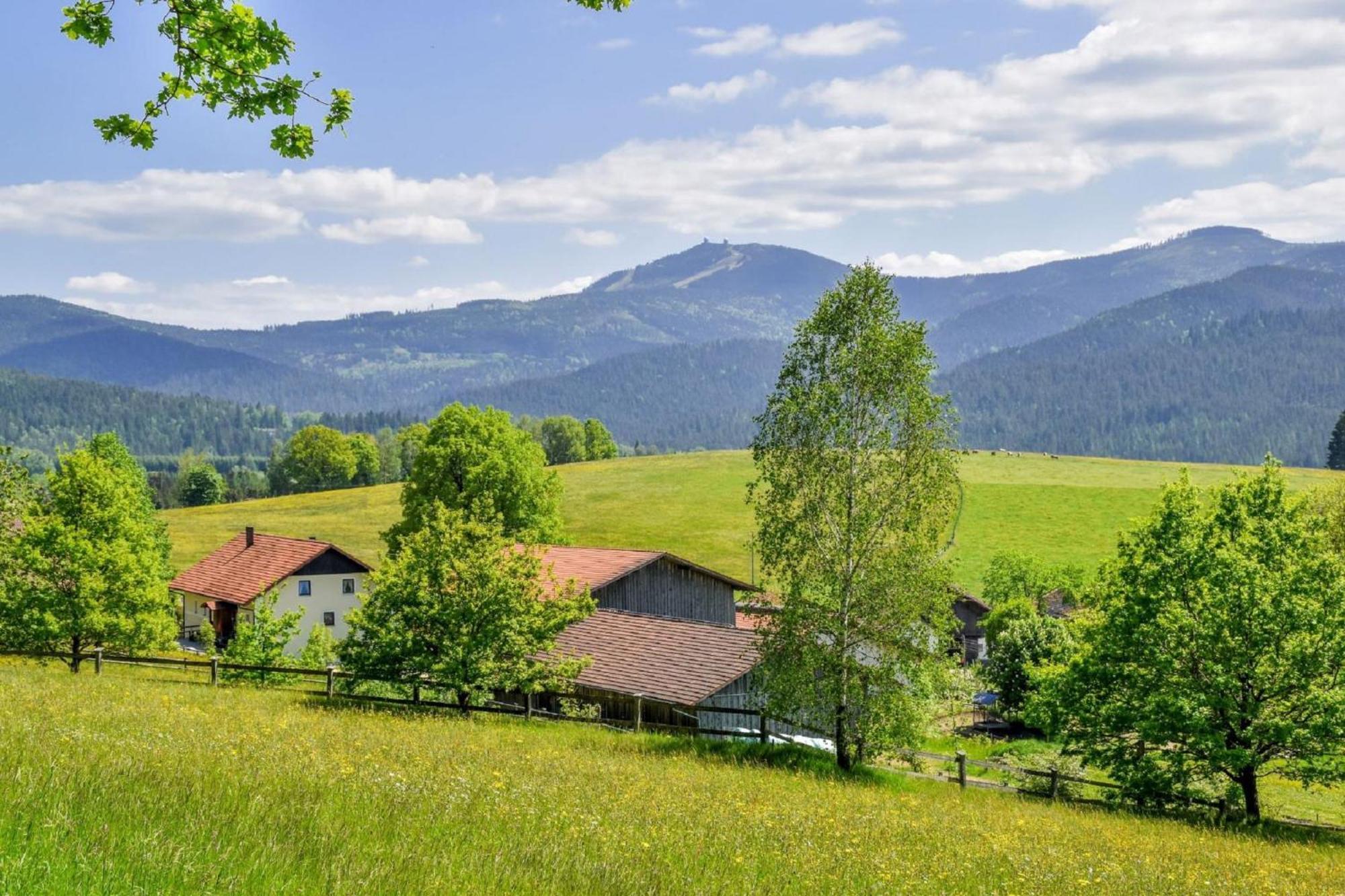 Urlaub Auf Dem Haberlhof Villa Lohberg Buitenkant foto
